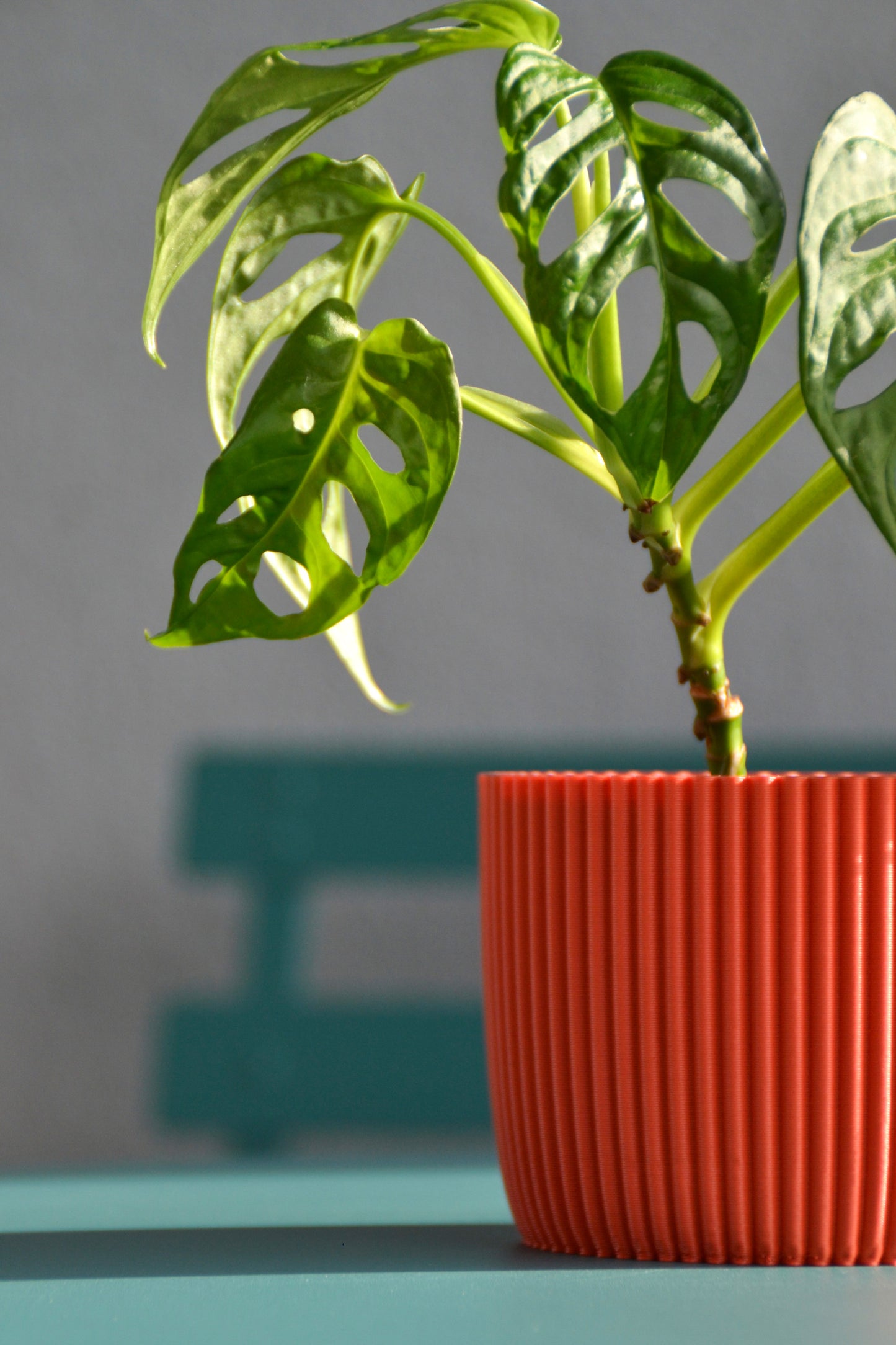 Plant Pot PUNTO, Ø 10 cm