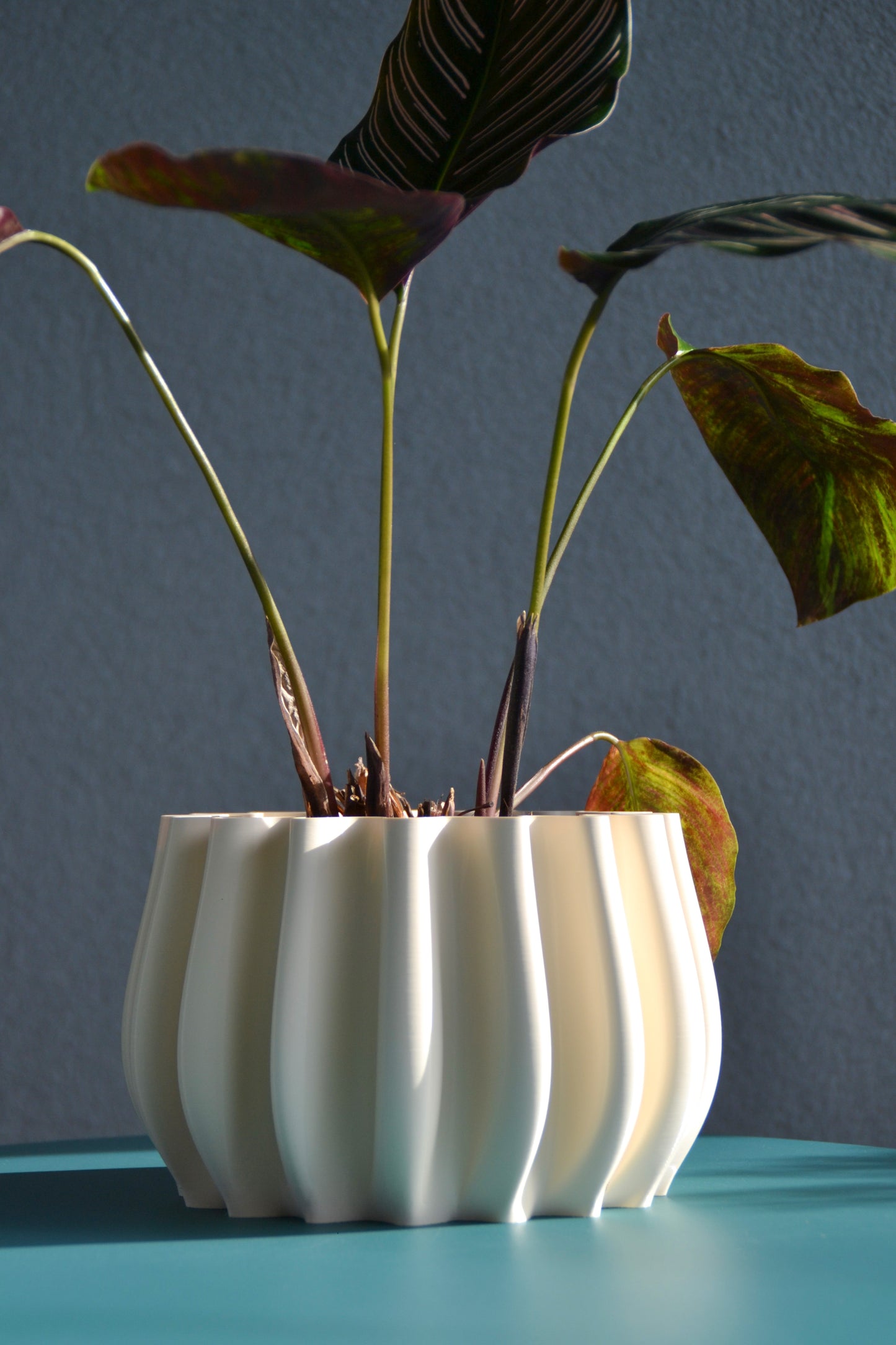 Plant Pot, Ø 14 cm