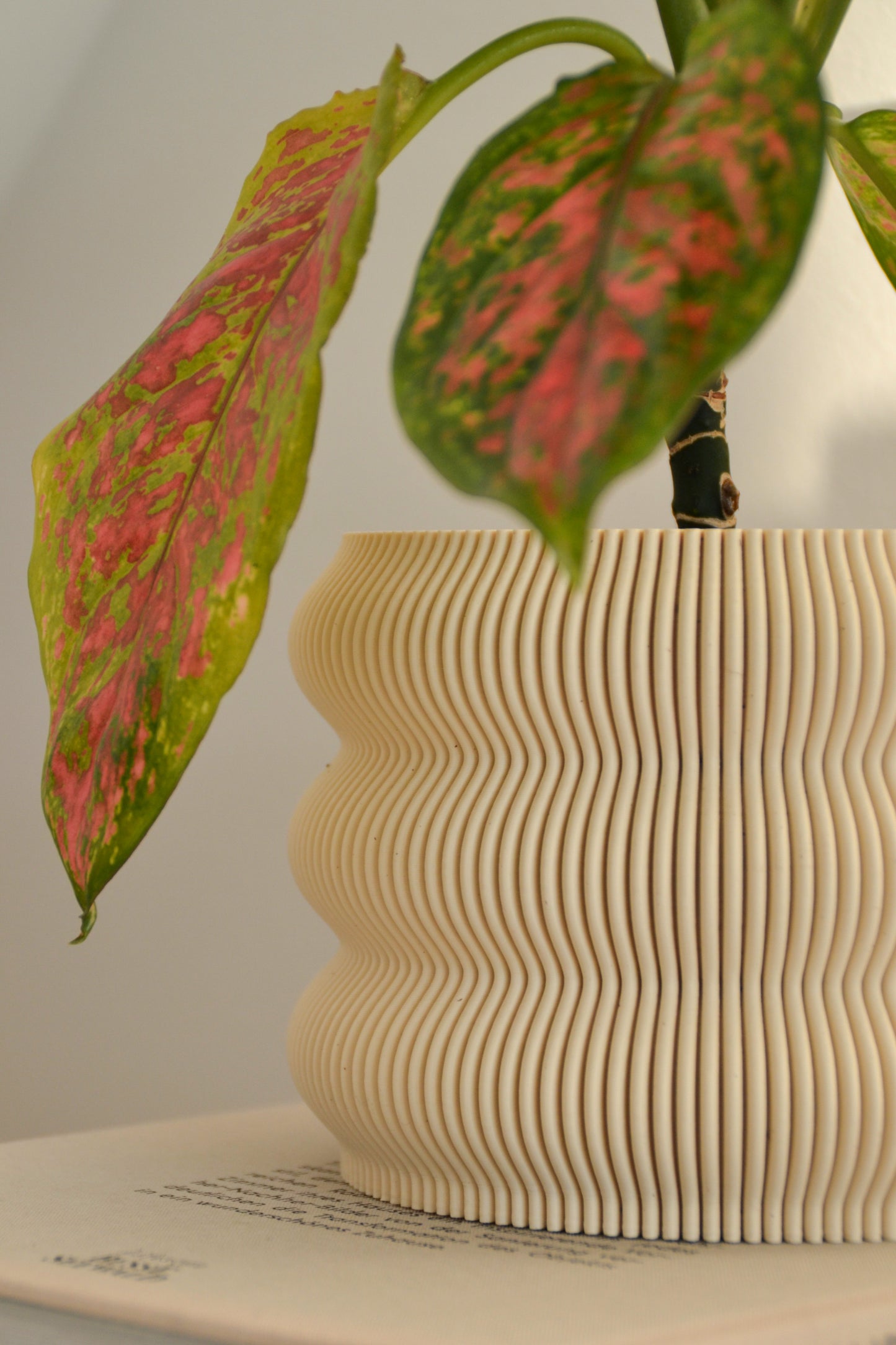 Plant Pot TORO, Ø 12.5 cm